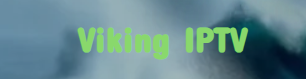 viking  logo